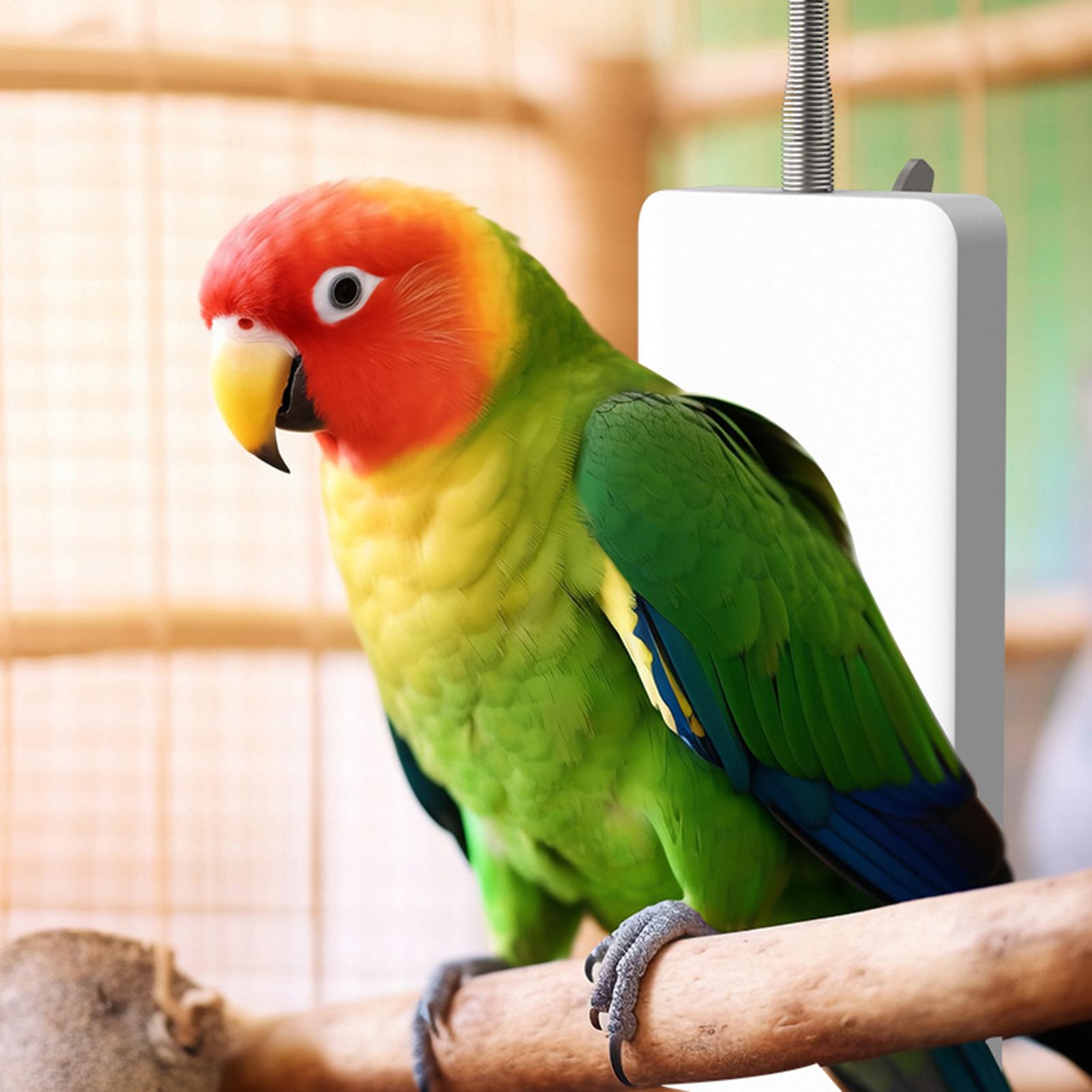 Pemanas Hewan Peliharaan 5V, P - Smart Garden Bird Bath ulasan dan harga